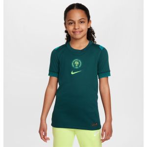 Nigeria 2025 Stadium Thuis (vrouwenelftal) Nike Dri-FIT replicavoetbalshirt voor kids - Blauw