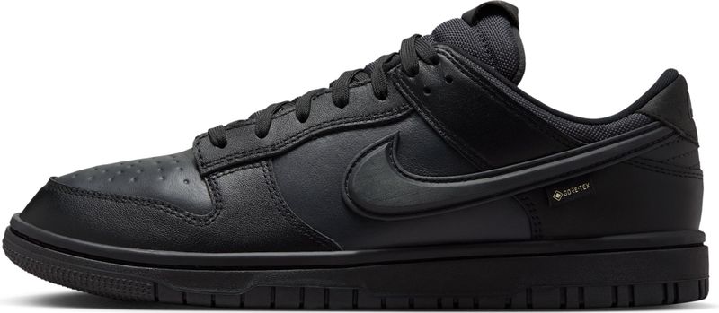 Nike Dunk Low GORE-TEX - Schoenen - Bruin