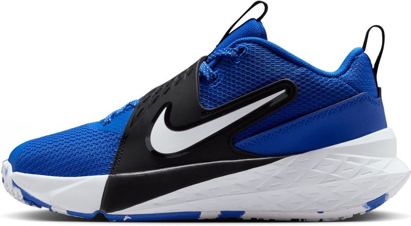 Basketbalschoenen voor kinderen Nike Team Hustle D