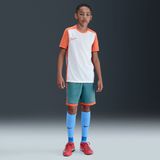 Nike - Academy - Voetbalshorts - Blauw - Dri-FIT - 18 cm