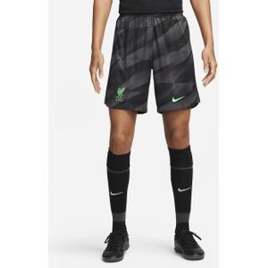 Liverpool FC 2023/24 Stadium Goalkeeper Nike Dri-FIT voetbalshorts voor heren - Grijs