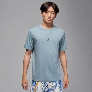 Jordan Sport Jumpman T-shirt met Dri-FIT voor heren - Grijs
