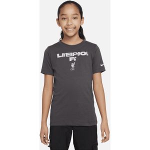 Liverpool FC Nike voetbalshirt voor kids - Grijs
