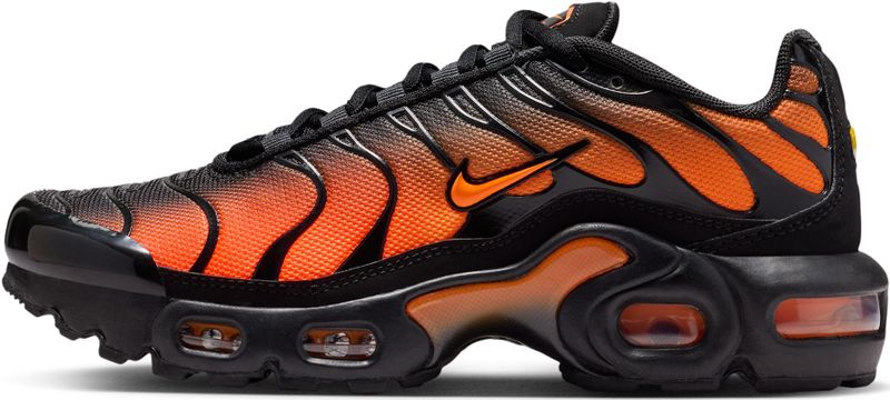 Nike Air Max Plus kinderschoenen - Zwart