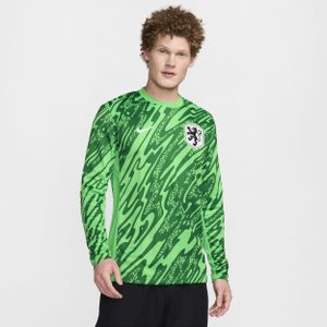 Nederland (vrouwenelftal) 2024/25 Stadium Goalkeeper Nike Dri-FIT replicavoetbalshirt voor heren - Groen