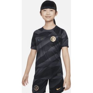 Chelsea FC 2023/24 Stadium Goalkeeper Nike Dri-FIT voetbalshirt met korte mouwen voor kids - Grijs