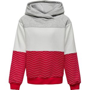 Driekleurige hoodie in molton KIDS ONLY. Geruwd molton materiaal. Maten 14 jaar - 156 cm. Grijs kleur