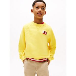 Sweater met ronde hals, logo op de borst, fleece TOMMY HILFIGER. Molton materiaal. Maten 16 jaar - 174 cm. Geel kleur