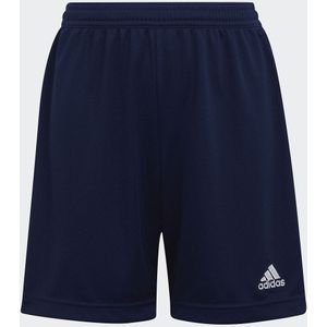 Short voor voetbal adidas Performance. Katoen materiaal. Maten 7/8 jaar - 120/126 cm. Blauw kleur