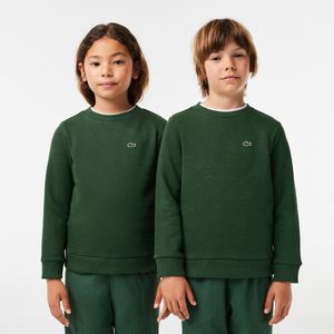 Sweater met ronde hals LACOSTE. Katoen materiaal. Maten 6 jaar - 114 cm. Groen kleur