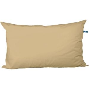 Synthetisch hoofdkussen, medium, Big pillow LA REDOUTE INTERIEURS.  materiaal. Maten 65 x 100 cm. Groen kleur