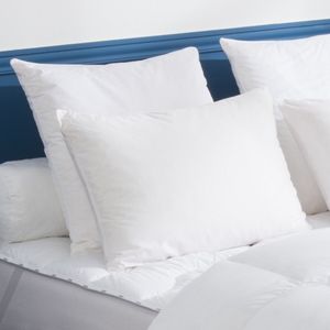 Peluw FERME - Stevig & Anti-mijt DODO.  materiaal. Maten 160 cm. Wit kleur