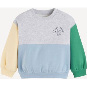 Sweater met ronde hals en colorblock, in molton LA REDOUTE COLLECTIONS. Geruwd molton materiaal. Maten 4 jaar - 102 cm. Grijs kleur