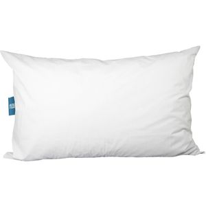 Zacht kussen Big pillow LA REDOUTE INTERIEURS.  materiaal. Maten 65 x 100 cm. Wit kleur