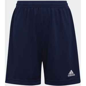 Short voor voetbal adidas Performance. Katoen materiaal. Maten 9/10 jaar - 132/138 cm. Blauw kleur