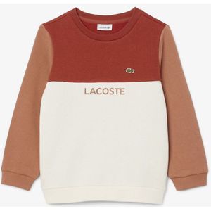 Sweater in molton met ronde hals LACOSTE. Molton materiaal. Maten 14 jaar - 162 cm. Beige kleur