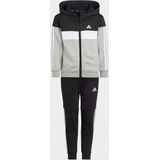 Ensemble hoodie + joggingbroek in molton ADIDAS SPORTSWEAR. Katoen materiaal. Maten 6/7 jaar - 114/120 cm. Zwart kleur