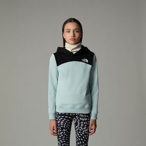 Hoodie in molton THE NORTH FACE. Geruwd molton materiaal. Maten 10 jaar - 138 cm. Blauw kleur