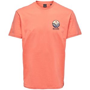 Recht T-shirt met korte mouwen en logo op de borst ONLY & SONS. Katoen materiaal. Maten XS. Oranje kleur