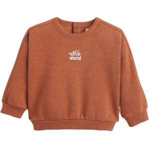 Sweater met ronde hals, drukknopen achteraan, in molton LA REDOUTE COLLECTIONS. Geruwd molton materiaal. Maten 3 mnd - 60 cm. Kastanje kleur