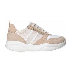 Sneaker Xsensible Women SWX3 Stretchwalker Sand Combi-Schoenmaat 42,5