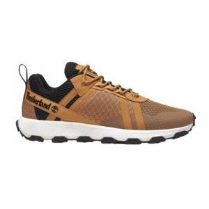 Timberland Men Winsor Trail Low Lace Wheat Mesh-Schoenmaat 43,5