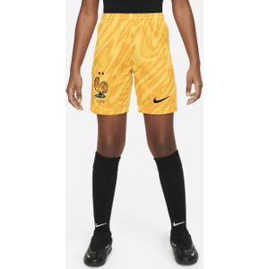 FFF 2024 Stadium Uit Nike replica voetbalshorts met Dri-FIT voor kids - Geel