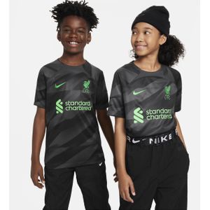 Liverpool FC 2023/24 Stadium Goalkeeper Nike Dri-FIT voetbalshirt met korte mouwen voor kids - Grijs