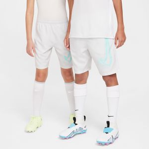 Nike Academy voetbalshorts voor kids - Grijs