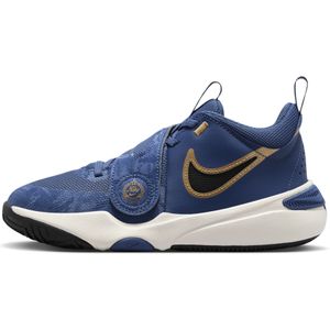 Nike Team Hustle D 11 basketbalschoenen voor kids - Blauw