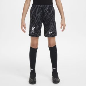 Liverpool FC 2024/25 Stadium Goalkeeper Nike replicavoetbalshorts met Dri-FIT voor kids - Grijs