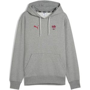 PUMA Saski Baskonia Fanwear basketbalhoodie voor Heren, Grijs, Maat S