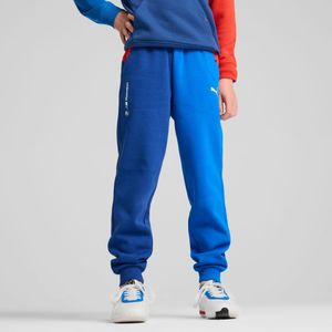 PUMA BMW M Motorsport ESS+ broek, Blauw