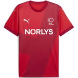 PUMA Deense handbalbond 24/25 thuisshirt voor Heren, Rood, Maat S