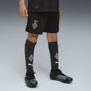 PUMA - Borussia Mönchengladbach 25/26 - Sokken - Zwart/Wit