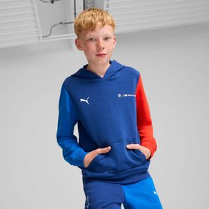 PUMA BMW M Motorsport ESS+ hoodie, Blauw