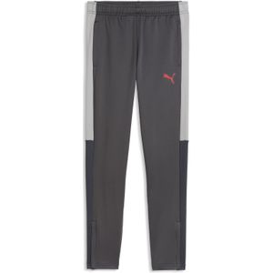 PUMA IndividualLIGA Voetbal trainingsbroek, Grijs/Rood, Maat 15-16Y