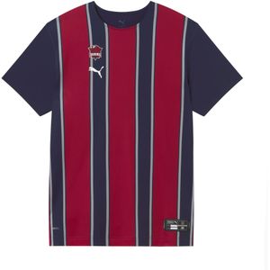 PUMA Saski Baskonia thuis-basketbalshirt met korte mouw voor Heren, Blauw, Maat S