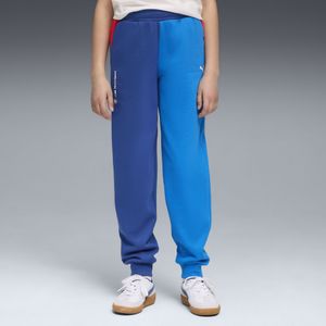 PUMA - BMW M Motorsport Essentials - Broek - Blauw