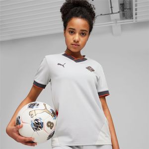 PUMA IJsland Voetbal 2024 uitshirt, Grijs