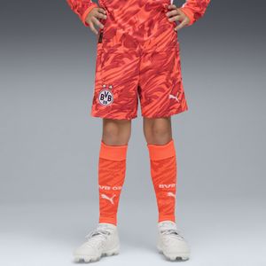 PUMA - Borussia Dortmund 25/26 - Korte Broeken - Rood/Zilver