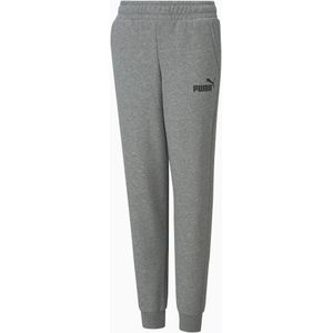 PUMA Essentials Logo broek, Grijs