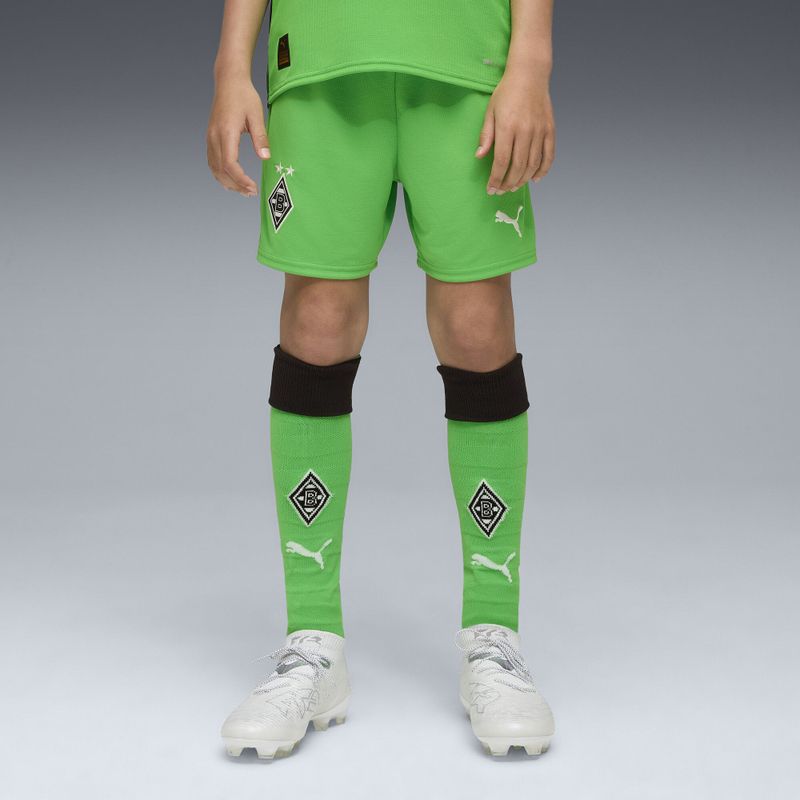 PUMA - Borussia Mönchengladbach 25/26 - Sokken - Groen/Wit