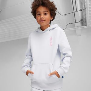 PUMA x PLAYSTATION hoodie, Zilver