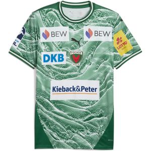 PUMA Füchse Berlin 25/26 thuisshirt voor Heren, Groen/Wit, Maat S
