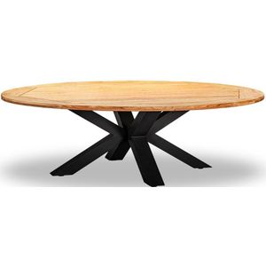 LUX outdoor living Cleve dining tuintafel | teakhout  staal | Teak | ovaal | 280cm