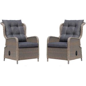 Denza Furniture Glasgow loungestoel tuin | set van 2 | wicker  aluminium | grijs