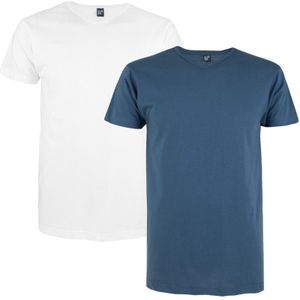 2-pack V-hals shirts vermont blauw & wit