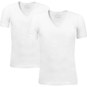 2-pack V-hals shirts basic wit