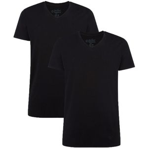 2-pack V-hals shirt velo zwart